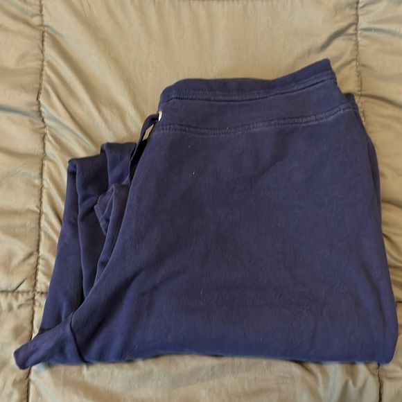 Champion Wide Leg Sweatpant Blue Size Large Short Inseam - Picture 1 of 8